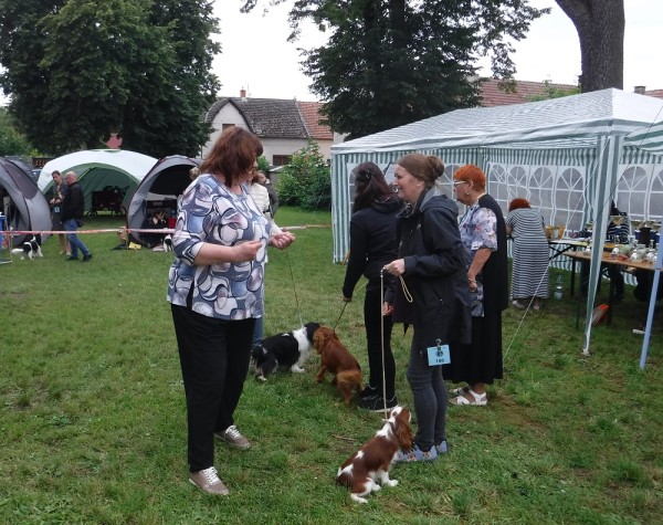 KV 2020-I, 11.7.2020, Městec Králové